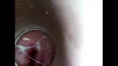 Oynat 8 inç yapay penis keşfi: damlayan ıslak bir kedi içine yakın bir yolculuk